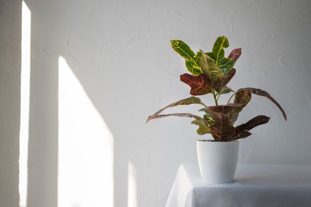 Jak oświetlenie wpływa na wzrost i rozwój twoich roślin domowych?