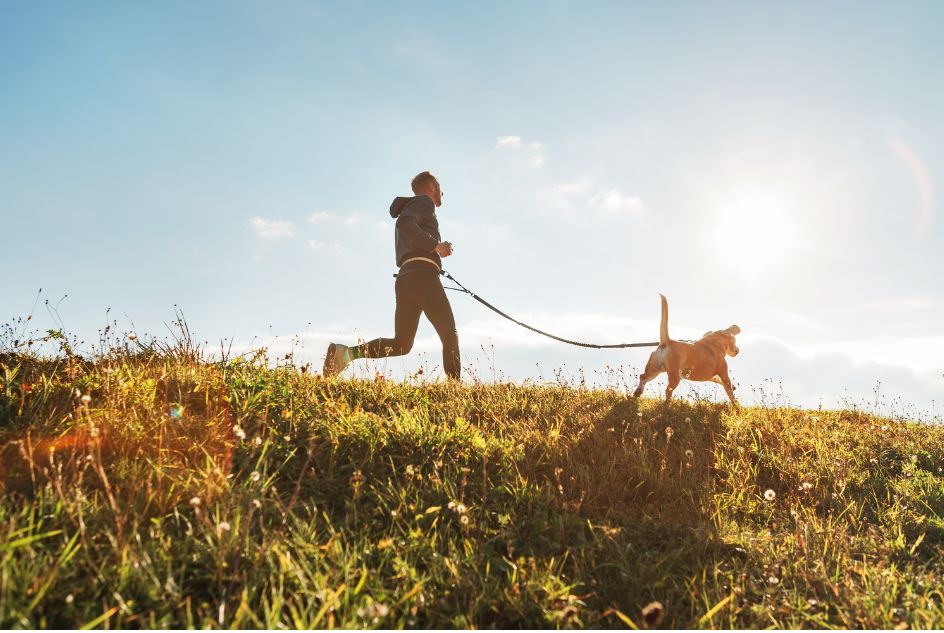 Jak wybrać idealną smycz do biegania z psem? Kluczowe aspekty i funkcje, które warto rozważyć.