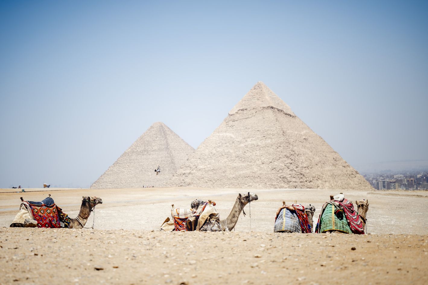 Zabytki w Egipcie